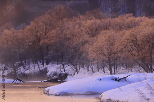 朝陽に染まる樹氷と川霧