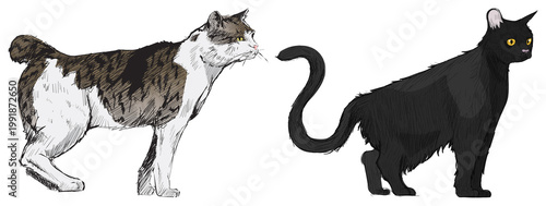 Canvas-taulu Illustrated cats with distinct features element set