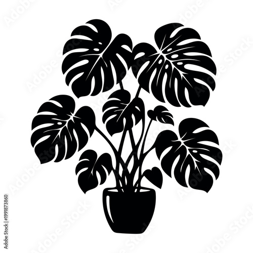 Monstera Deliciosa Houseplant Silhouette Illustration in Ceramic Pot