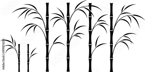 Bamboo Plant Silhouette Vector Set with Tall Asian Stalks and Leaves, Minimal Black Botanical Elements for Nature and Zen Design