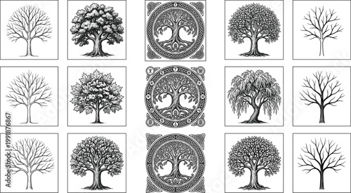 Vintage Tree Collection Vector Set with Ornate Tree of Life Designs, Detailed Forest Trees in Decorative Frame Line Art Style