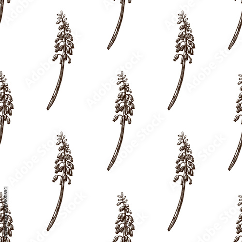 Hand drawn vintage seamless pattern of muscari flower branches with buds in botanical engraving style monochrome illustration