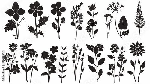Black floral vector silhouettes diverse botanical elements for design projects