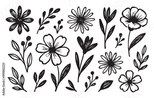 Black and white floral set hand drawn flowers leaves botanical elements vector collection line art illustration for pattern design branding packaging
