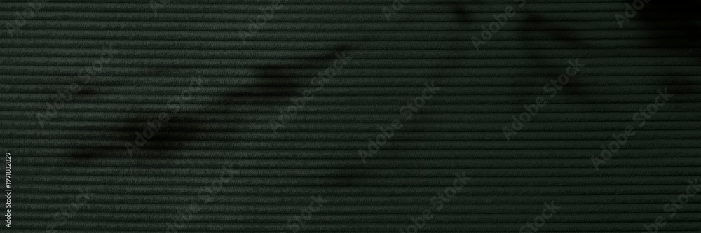 Fotografie Green corduroy fabric textured background
