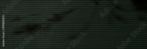 Konstfotografi Green corduroy fabric textured background