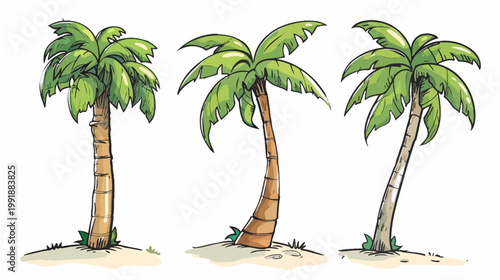 Illustrated palm trees on white background for design and commercial projects