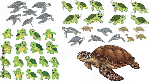 Cute sea turtle character collection with realistic and cartoon styles different poses marine animal vector illustration set