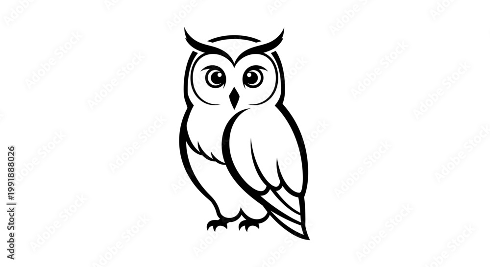 Obraz premium Owl Bird Animal Illustration.
