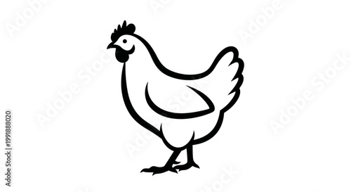 Illustration of a single chicken.