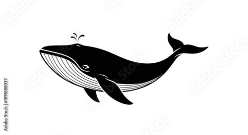 Black and white cartoon whale swimming.