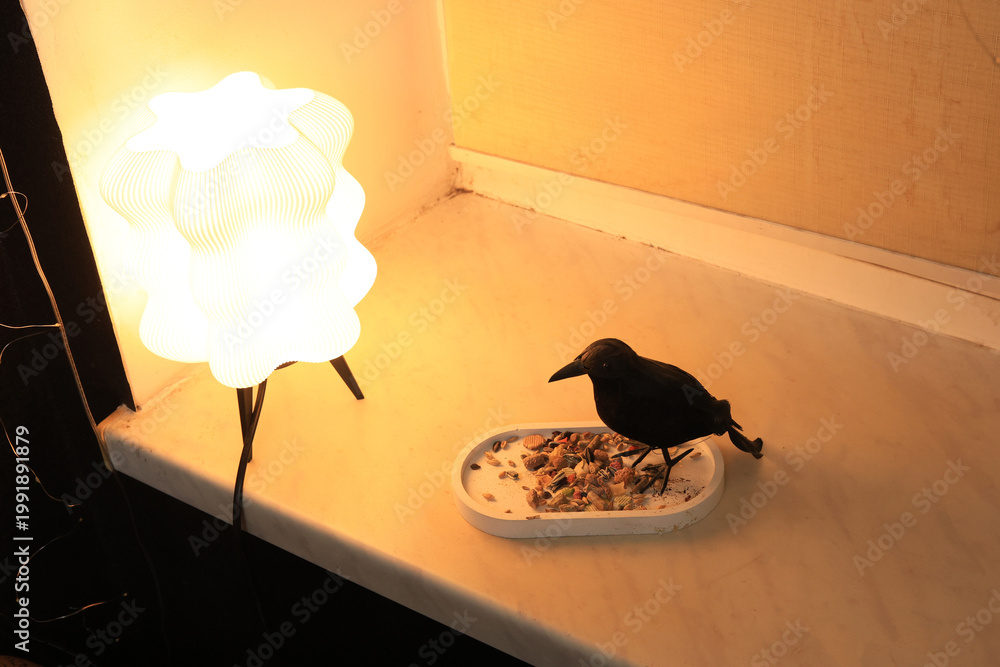 Fototapeta premium Black bird eating seeds from a tray next to a glowing modern lamp
