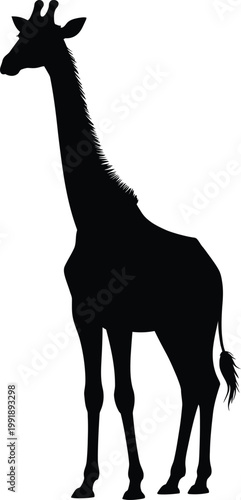 Black silhouette of a giraffe standing