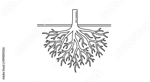 Illustration of a plant's underground root system in a simple line art style.
