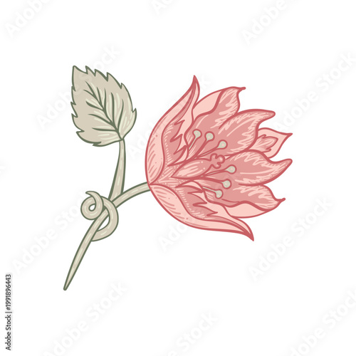 Isolated vector illustration of a decorative floral motif in the style of Wil...