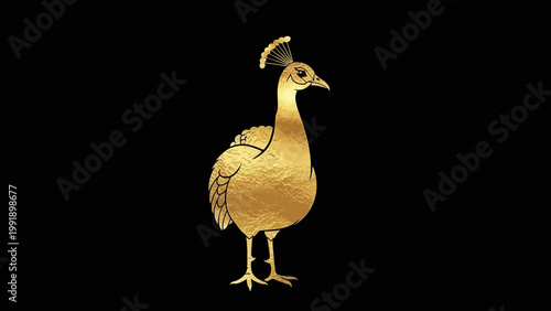 Elegant golden peacock illustration on black background for design projects