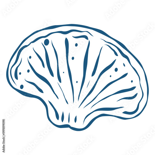 Abalone Ear Shell, Hand-Drawn Ink Illustration, Organic Marine Life Coastal Design Vector Line Art
