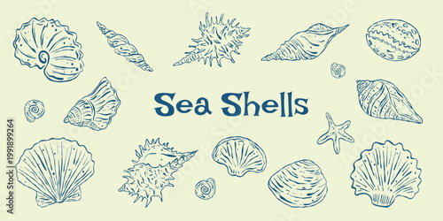 Aegean Cerulean Sea Shells Doodle Set, Hand-Drawn Blue Ink Coastal Illustration and Marine Life