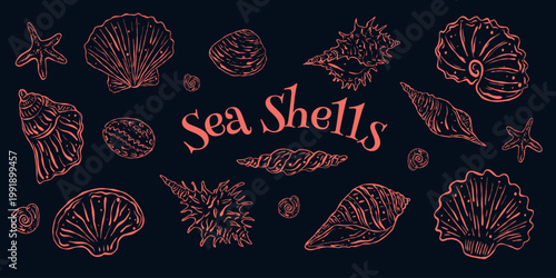 Coral Sea Shells Doodle Set, Hand-Drawn Coastal Illustration of Starfish and Scallop