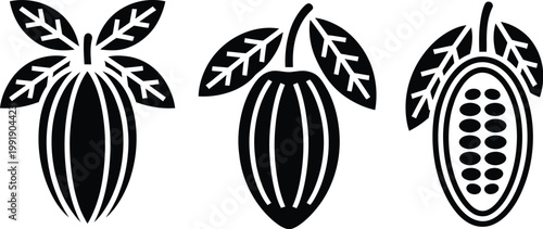 Silhouette of a cocoa bean pod with leaves, chocolate, hand drawn sketch vector cocoa beans, leaves, raw chocolate chunks and wedges of dessert chocolate with chocolate text, organic product doodle s