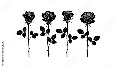 Rose stem silhouettes set with four blooming flowers and leaves arranged side by side isolated vector