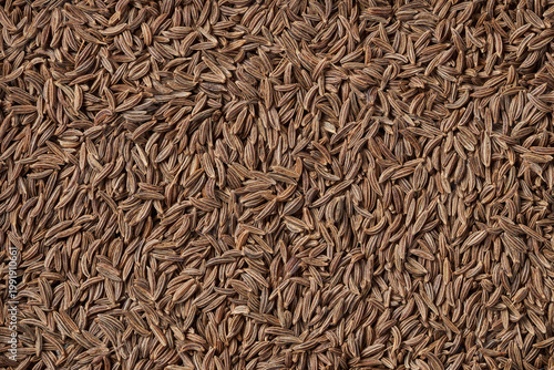 Картината върху платно Caraway seeds creating abstract full frame texture background