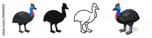 Cassowary Bird Icons Collection