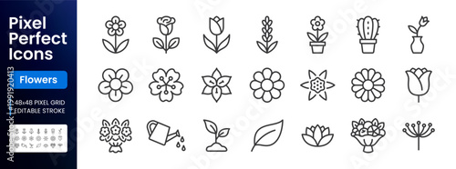 Flower, gardening line icon set. Rose, tulip, fruit bouquet, spring blossom, cactus, lavender, watering can, sprout. Simple outline signs for florist delivery. 48x48 Pixel Perfect, Editable Stroke.