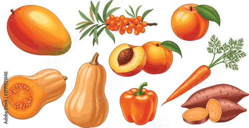 Fresh Orange Colored Fruits and Vegetables Collection Including Mango Peach Carrot Pumpkin Sweet Potato Pepper and Sea Buckthorn Vector Illustration Set.