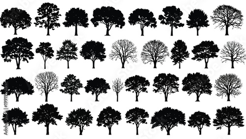 Silhouettes of diverse tree varieties arranged in a grid pattern