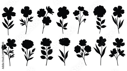 Collection of elegant black and white floral designs arranged in two horizontal rows
