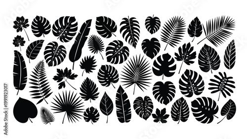 Diverse collection of black and white tropical leaf patterns arranged in a visually engaging layout