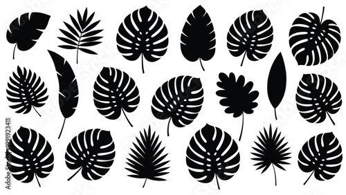 Elegant collection of monochrome tropical leaves in various shapes and orientations