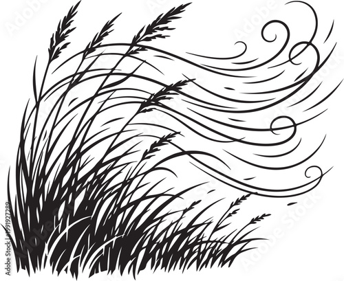 Black and white sketch of tall grass swaying in the wind