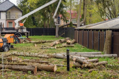 Tree removal work in residential yard with cut trunks and lift platform reflects arborist service and land clearing process.