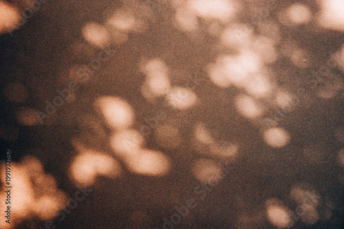 Leaves bokeh shadow on neutral brown texture, aesthetic summer background, coastal boho style. Natural beauty and lifestyle wallpaper. Abstract tropical minimal pattern flat lay.
