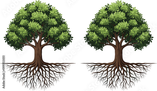 Green Tree Vector Set Featuring Lush Leafy Canopy And Detailed Root System For Environment Nature Conservation And Growth Graphic Designs