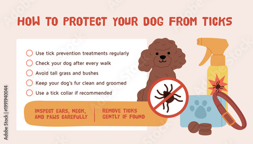 Pets tick safety. Precautions to take when walking dog, cute poodle care, antiparasitic vet products, tablets, sprays, collar, parasite prevention, garish vector cartoon isolated concept