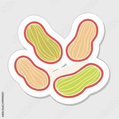 Cartoon illustration of peanuts