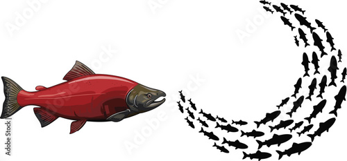 Salmon Fish Illustration with School of Fish Silhouette Forming Circular Wave Pattern for Fishing Industry Marine Wildlife and Seafood Design.