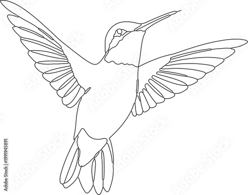 Minimalist continuous line of a bird in flight with wings spread wide