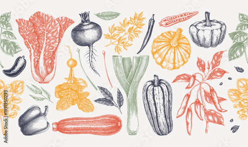 Spice and vegetable seamless border for packaging, textile and food design. Culinary ingredients background. Hand drawn vintage illustration. NOT AI generated