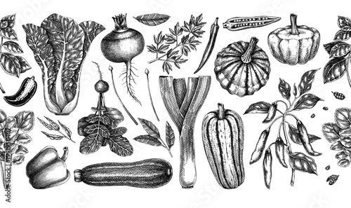 Spice and vegetable seamless border for packaging, textile and food design. Culinary ingredients background. Hand drawn vintage illustration. NOT AI generated