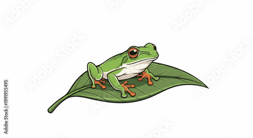 A bright green tree frog with orange-rimmed eyes sits on a green leaf