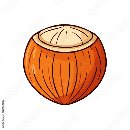 Hand drawn illustration of a single open hazelnut with a textured brown shell and white nut inside