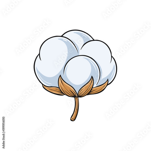 Fluffy White Cotton Boll Illustration Soft Natural Fiber Plant