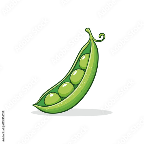 Illustration of a single fresh green pea pod filled with round green peas