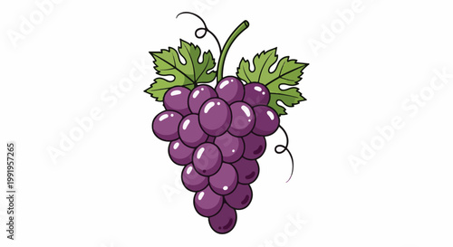 A bunch of plump, dark purple grapes with glossy skin and green leaves on a white background