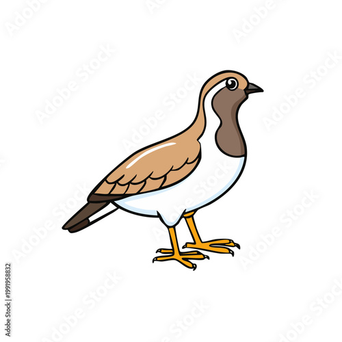 Cute Cartoon Plover Bird Standing on Legs with Brown and White Feathers