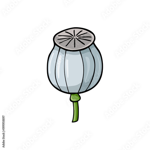 Stylized Illustration of a Light Blue Poppy Seed Pod with a Green Stem